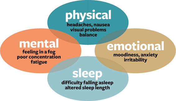 four oval overlapping graphics representing Physical, Mental, Emotional, and Sleep concussion symptoms