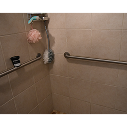 Accessible Shower Bars