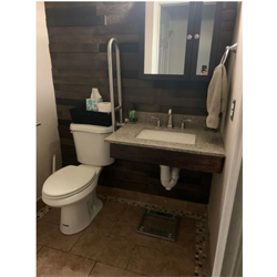 Accessible Toilet Grab Bar and Vanity