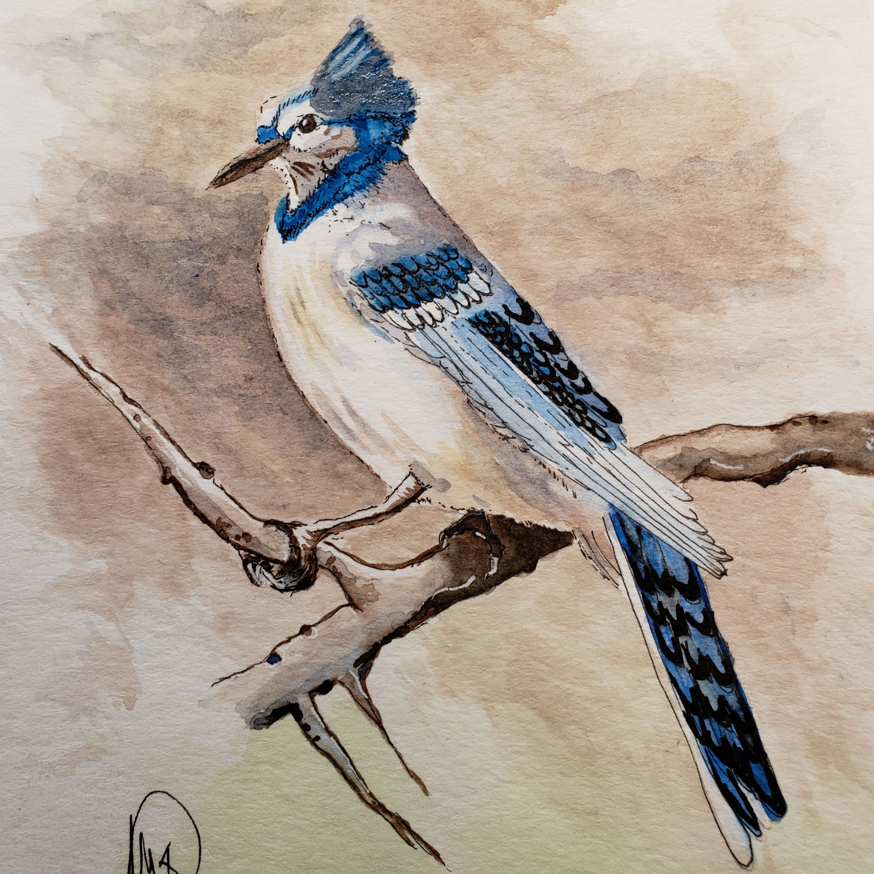 Dave's Bluebird Artwork